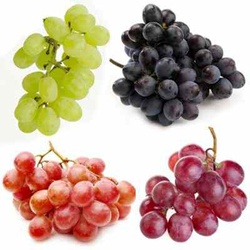 UVAS                                                                                                