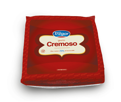 TREGAR QUESO CREMOSO X KG                                                                           